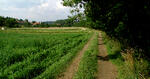 Záhorovice, cesta, výlet Bojkovice-Nezdenice