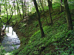 Bojkovice, výlet Bojkovice-Komňa