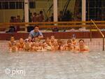 Plavecký klub Nový Jičín